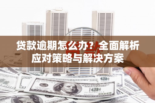 端州贷款逾期怎么办？全面解析应对策略与解决方案
