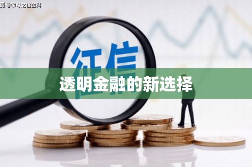 端州透明金融的新选择