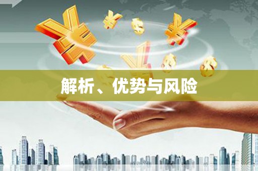 端州解析、优势与风险