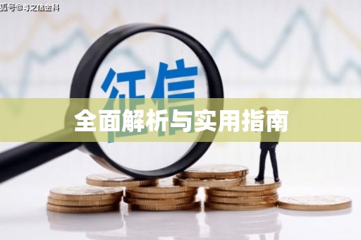 端州全面解析与实用指南