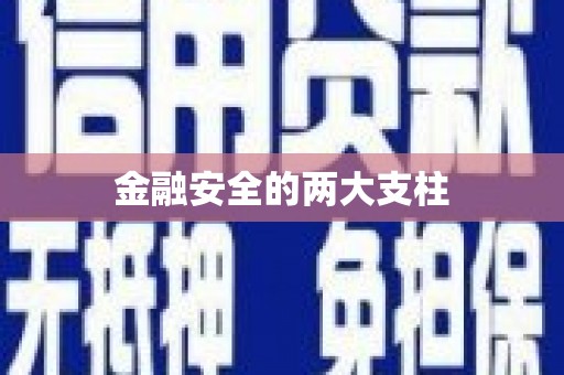 端州金融安全的两大支柱