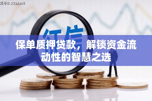 端州保单质押贷款，解锁资金流动性的智慧之选