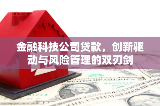 端州金融科技公司贷款，创新驱动与风险管理的双刃剑