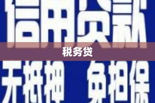 端州税务贷